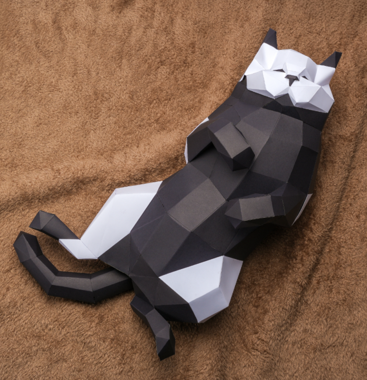 Design.png